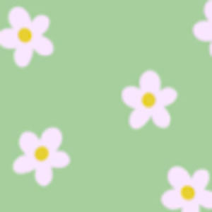 Meet your Posher, Nora